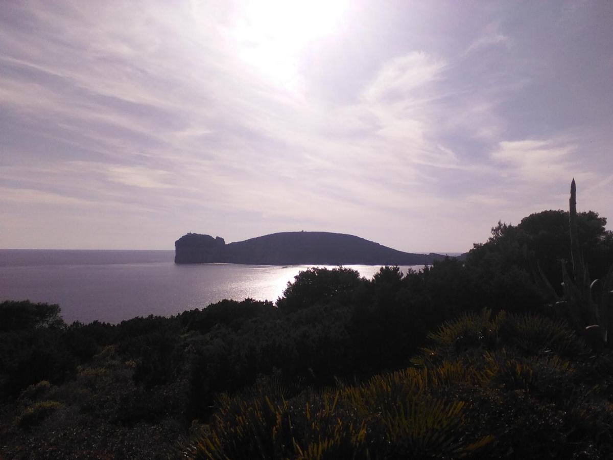 Giramondo Sardegna Affittacamere Алгеро Екстериор снимка