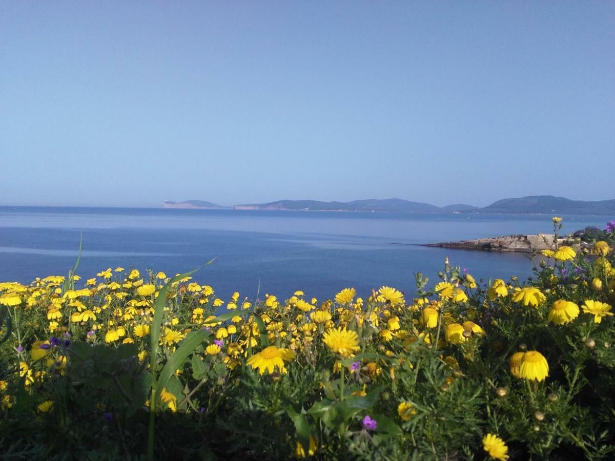 Giramondo Sardegna Affittacamere Алгеро Екстериор снимка